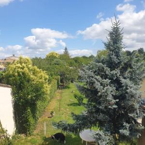 Maison en pierre avec jardin proche de Bordeaux
