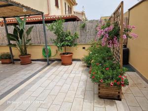 Villa Kate Pula Sardegna img20