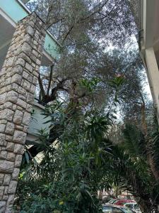 Apartment Oliva, Rafailovici