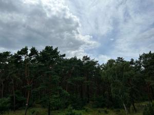 Pokój z łazienka i balkonem