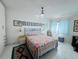 Giglio DOro - Elba Affitti