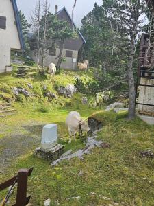 Chalets Chalet Le Casalandre : photos des chambres