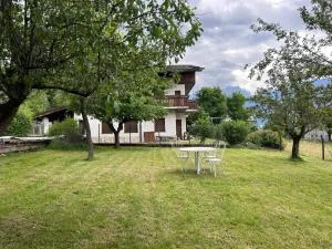 Alba's Home - Nebbiu