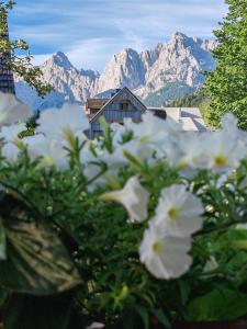 Apartments & Rooms Smučka