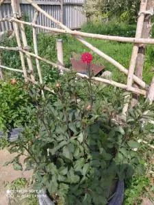 Гостевой дом Ак-Куу - Balykchy