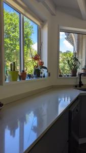 Villas Villa contemporaine sud Landes : photos des chambres