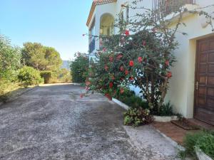 Maisons de vacances Lemon : photos des chambres