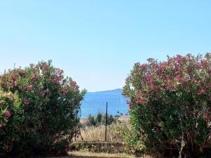 Maisons de vacances Lemon : photos des chambres