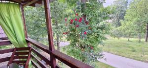 Gospodarstwo agroturystyczne Pod Świerkami