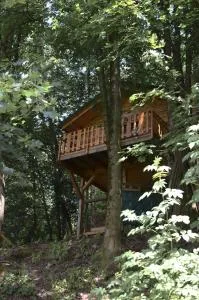 Treehouse Velké Losiny - Sobotín