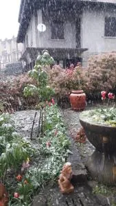 La gazza allegra - Querciola