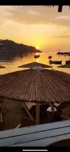 JET, luxury appartment 20m from the beach - Delfini