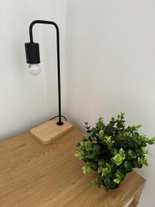 Beerpartment with parking