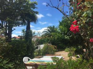 Sejours chez l'habitant 
