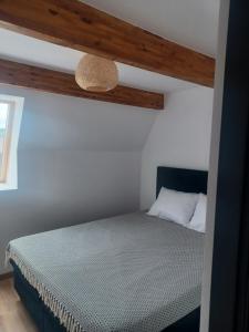 Apartamenty Majka
