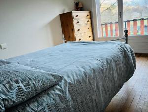 Appartements Mountain view 2-bedroom Pyrenees apartment : Appartement