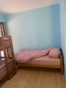 Family house, Savin kuk