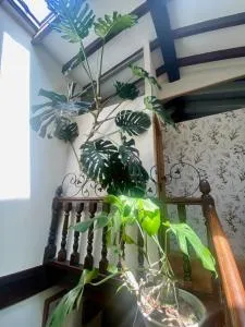 Alojamiento rural Merón - Lamadrid