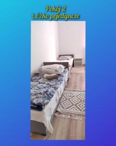 Radiant BD Wejscie na kod