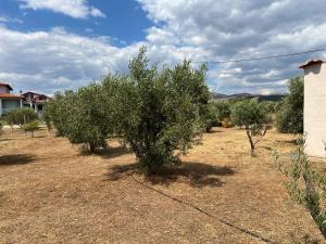 Villa Seaside Serenity by GG