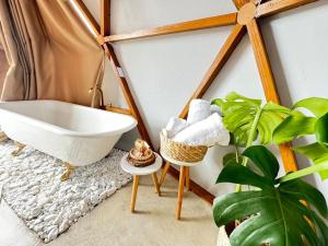 Domo Geodésico com AR-CONDICIONADO e banheira