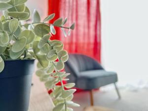 Appartements Le Catalina : photos des chambres