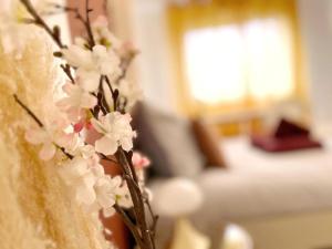 Appartements Le Catalina : photos des chambres