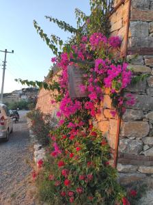 Koruwoodenhouse Alanya Gazipaşa