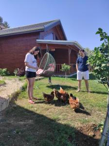 Koruwoodenhouse Alanya Gazipaşa