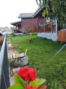 Koruwoodenhouse Alanya Gazipaşa