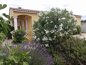 Maisons de vacances Villa entre Pont du Gard et Uzes : photos des chambres