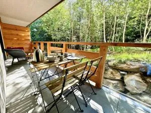 Le lodge de l alpage - Ski in ski out - 2 chambres 1 cabine - Vauvray