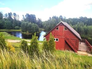 Camping Ives