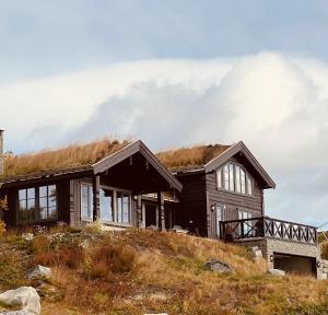 New, cozy, and comfortable cabin in Geilo
