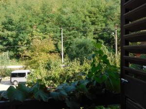 Apartmani Ceca Blaznava