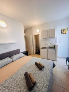 Apartment in the center of Pula