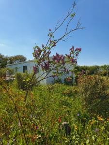 Chalets D-oehoe : photos des chambres
