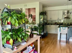 Cosy place for family or couple