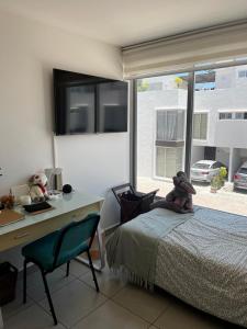 Casa Cholula zona universitaria