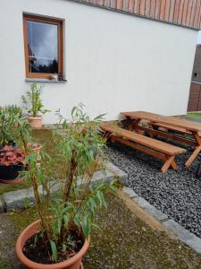 Apartmán Matylda