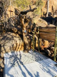 Makgobelo Lodge -The White House - Solar powered