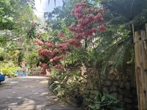 Hillcrest Sanctuary - Maraval