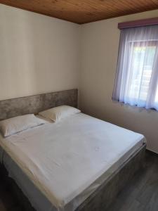 Seaside secluded apartments Cove Pobij, Hvar - 5712