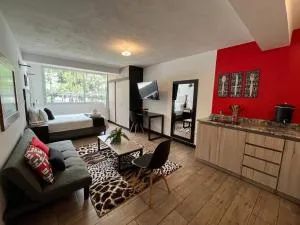 DST2 Nice studio in zone 15 - Lo de Contreras