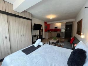 DST2 Nice studio in zone 15