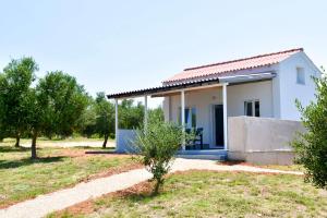 Seaside holiday house Cove Krlic, Pag - 23435 