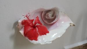 Pacha Tulum Boutique Hotel