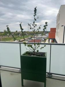 Appartements Appartement F3 cozy avec balcon proche de Paris et aeroport CDG : photos des chambres