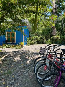 Roan Playa Chiquita- Estrella de mar