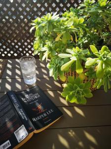 House in riviera lagonisi